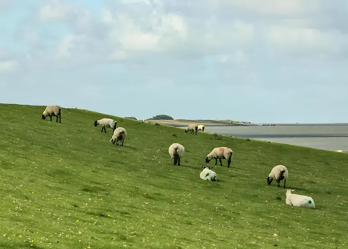 An Der Wehle Casa de Férias